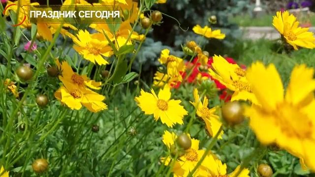 10 июля праздник. Самсонов день, Самсон-сеногной. Что нельзя делать. Народные традиции и приметы