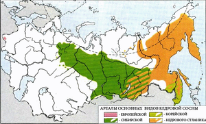 Древнее эхо событий.