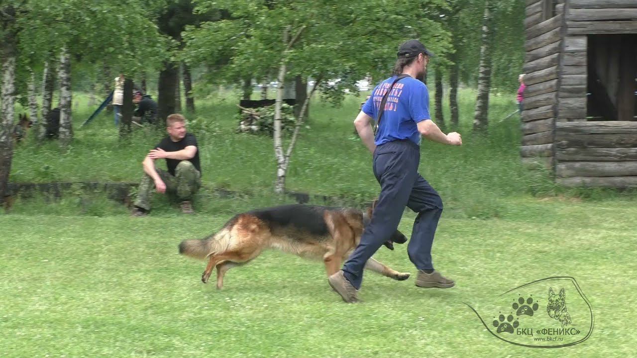 12.06.2021 г. Горшков Василий с нем. овч. Пробные соревнования "Военизированная полоса препятствий".