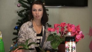 Орхидея Заморыш результат ☑ где я покупаю орхидеи ☑ садовый вар лечим орхидеи ☝ фитоспорин работает