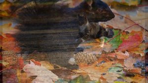 Детская песенка - Листик-листопад