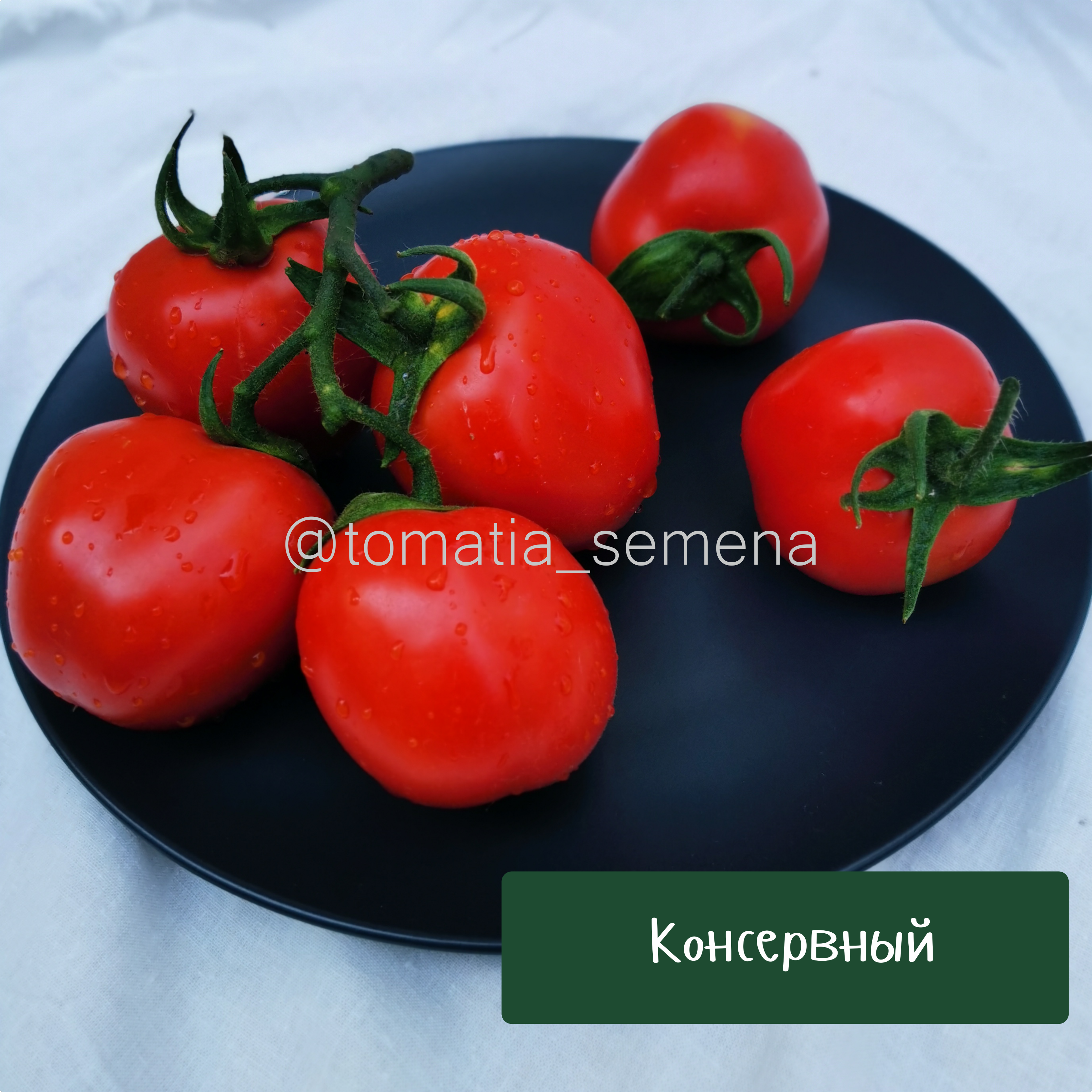 Консервный