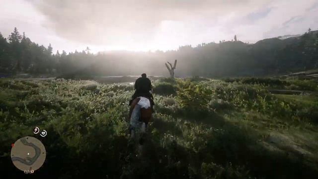 Инфа по брошюрам о "Витализме". Как превратиться в оленя в Red Dead Online.