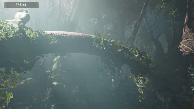 Shadow of the Tomb Raider Gtx 1060 6gb смотреть онлайн