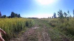 Поздний взяток август, сентябрь, октябрь ?