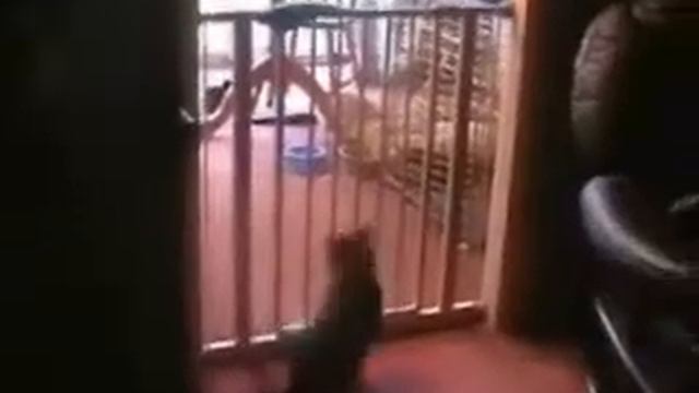 Прыжок не получился смотреть онлайн