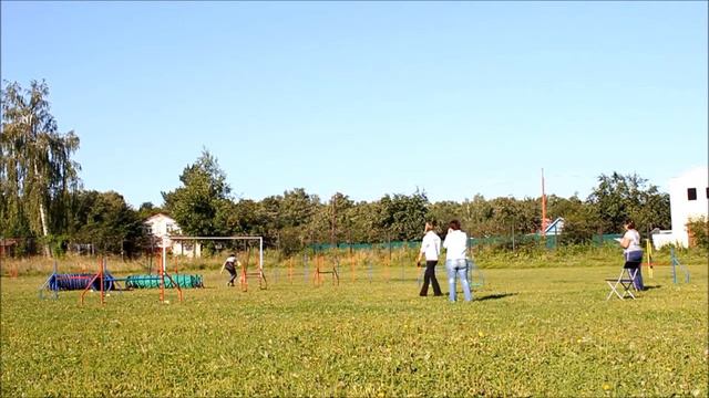 Уиппет Петти смотреть онлайн