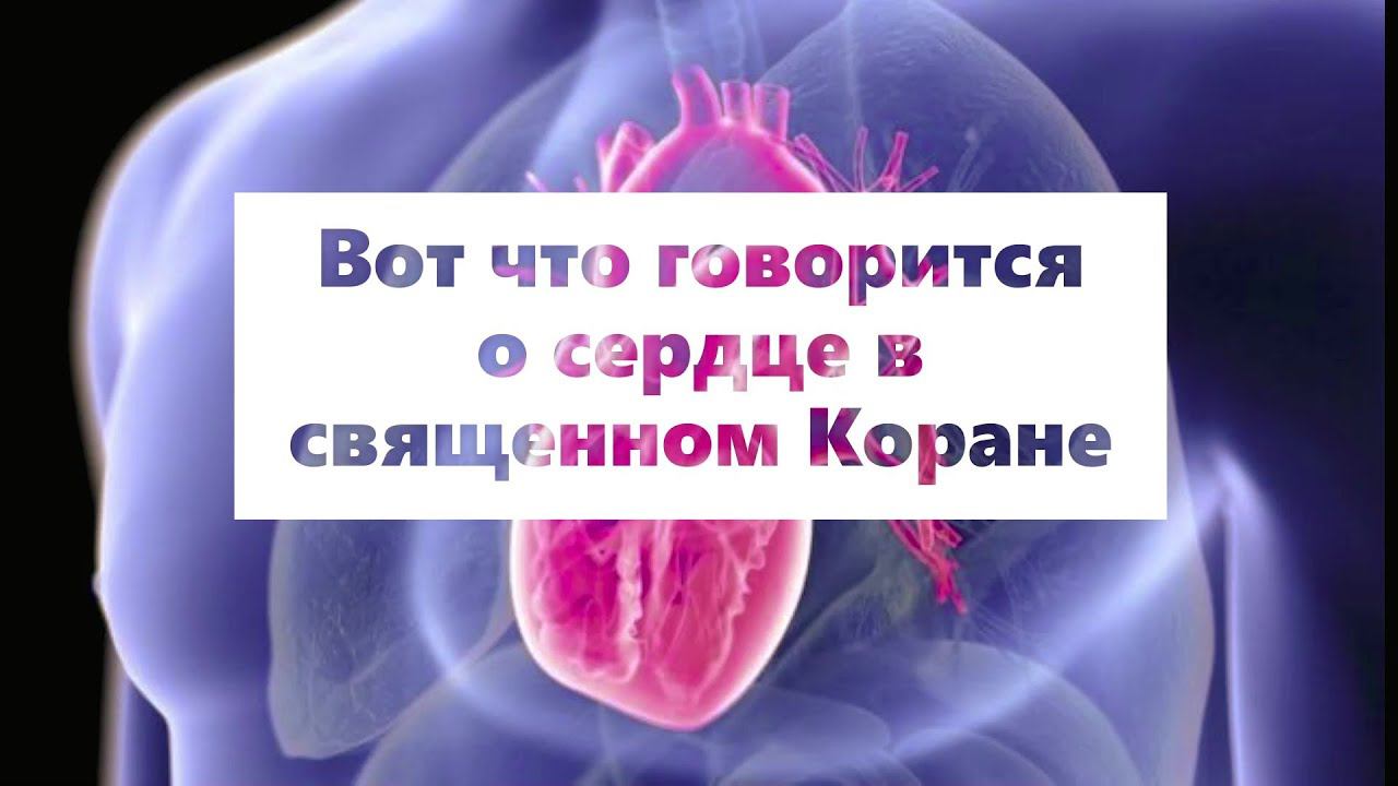КОРАН О СЕРДЦЕ/ #ПризывМусульман