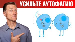 7 способов усилить аутофагию. Кому аутофагия может навредить?😲