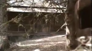 Убойные каникулы Гоблин перевод гоблинский