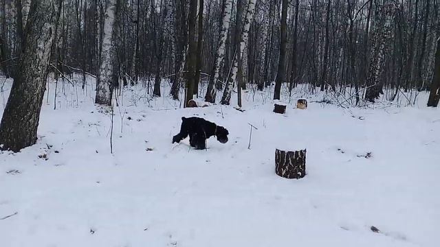 Гриня и Муха, Сокольники, 15.03.2020 смотреть онлайн