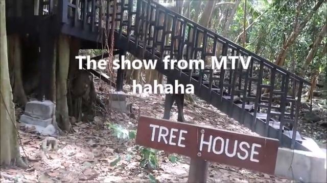 VLOG: Fregate Island in The Seychelles // Kayla Limage смотреть онлайн