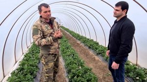 Какую пленку для теплиц выбрать или секреты раннего урожая клубники
