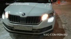 Скрытые функции Шкода Кодиак 2018, MirrorLink в движении, улучшения звучания Bolero