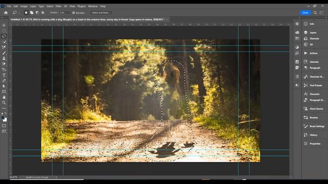 Photoshop 2023 Creating A Cinemagraph from a Still Photo