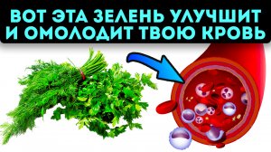 Ты даже не догадывался, как копеечная зелень может оздоровить твой организм!