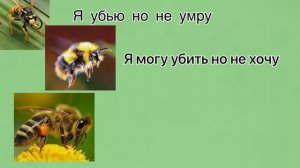 Я убью но не умру