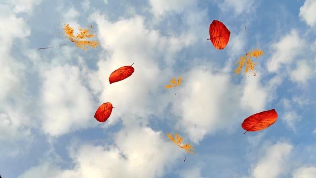 1 сентября день Андрея Стратилата и Феклы Свекольницы и Тимофея. Что нельзя делать? смотреть онлайн