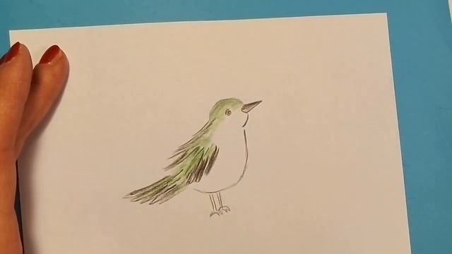 Drawing bird with pencils Рисунок птица карандашом