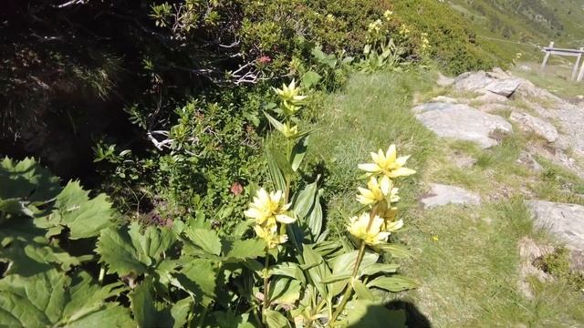 Pyrénées de Traverses, HRP Yo-Yo, J05 : Bouillouses смотреть онлайн