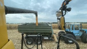 Уборка кукурузы. Комбайн New Holland CX 8.80 с жаткой Capello Diamant 8.