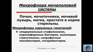 Общая микробиология (Бадлеева М.В.) - 5 лекция (2017)