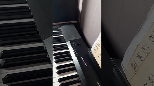 Цифровое пианино Casio CDR-120 демо смотреть онлайн