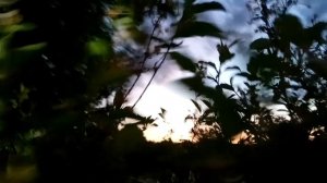 VID 20220608 022952 Сегодня шла Ты одиноко...1908 (А. Блок)... Павел Васильев Лахтинский