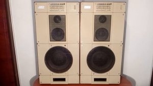 Колонки Radiotehnika S-90B Hi-Fi