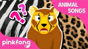 Did You See Cheetah’s Pattern? | Animal Songs | Learn Animals | Pinkfong Animal Songs for Children
