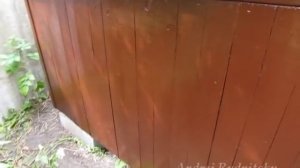 Как сделать будку для собаки (утепленный вариант, с открывающейся крышей)