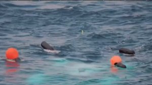 Видео Последнего Погружения Батискафа ТИТАН ( Найдены Обломки )