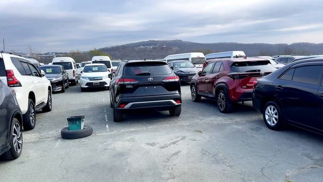 Обзор цен на авторынке Зелёный угол в конце октября! Цены на популярные авто из Японии, Китая, Коре смотреть онлайн