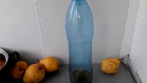 Супер ловушка для мышей!