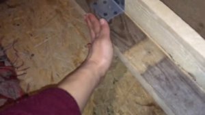 МЕСТО ДЛЯ РОДОВ СОБАКИ: как и  из чего сделано (видео-обзор с комментариями).