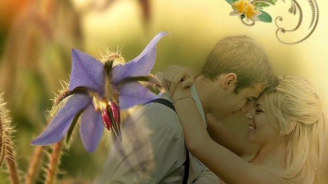 Любимая - Андрей Бандера. смотреть онлайн