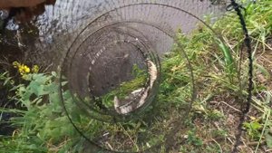 Рыбинское водохранилище, река Себла