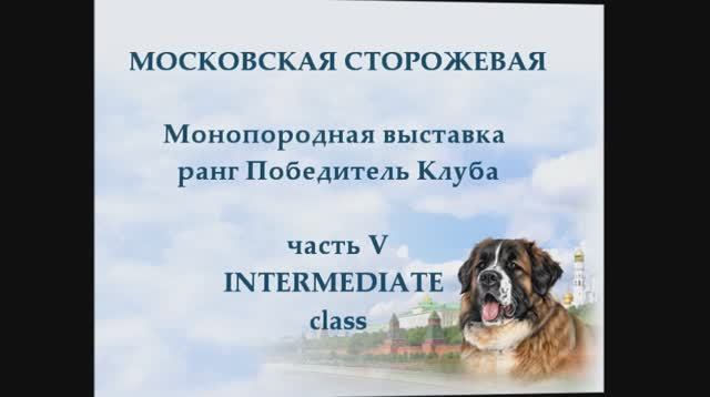 2012.05.09.5.Московская сторожевая Промежуточный класс