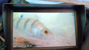 Подводная камера ?