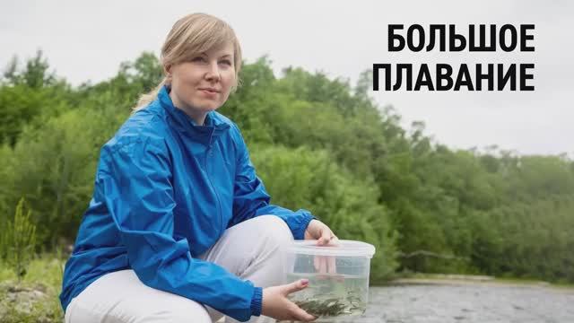 Рекордный выпуск мальков кеты на Сахалине