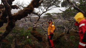 ОГНЕННАЯ ЗЕМЛЯ