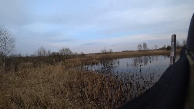 Охота на селезня "Отличная вечерка" (Duck hunting) смотреть онлайн