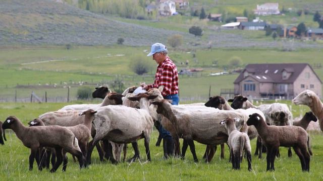 190413. 'Я ЕСМЬ ЖИЗНЬ'. Карл Г.Стивенс смотреть онлайн