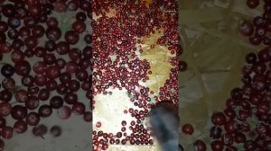 Лайфхак,как быстро очистить клюкву от мусора
