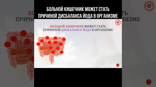 Больной кишечник может стать причиной дисбаланса йода в организме #йод #кишечник #щитовидка