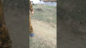 Пошёл карасик на Алге 17.04.2021год