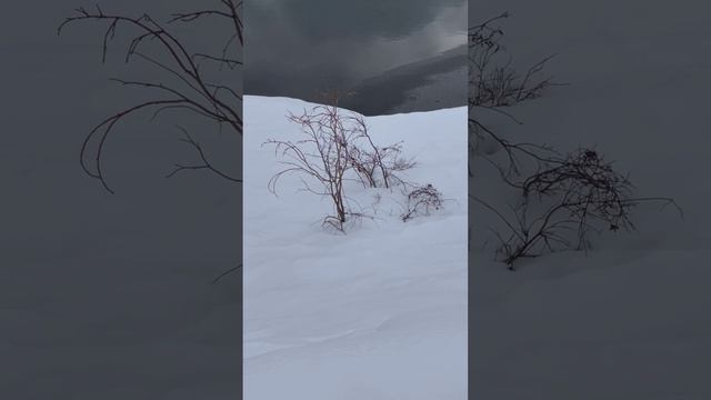 Вот такое половодье в Удачном 😁🌨️