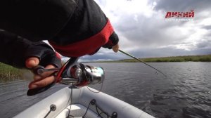 Язь на воблеры и вертушки на течении. Ловля хищных рыб.