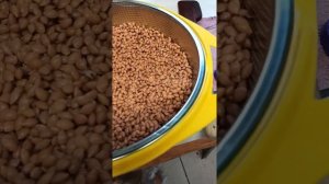 Войлочная вишня. что мы из неё делаем