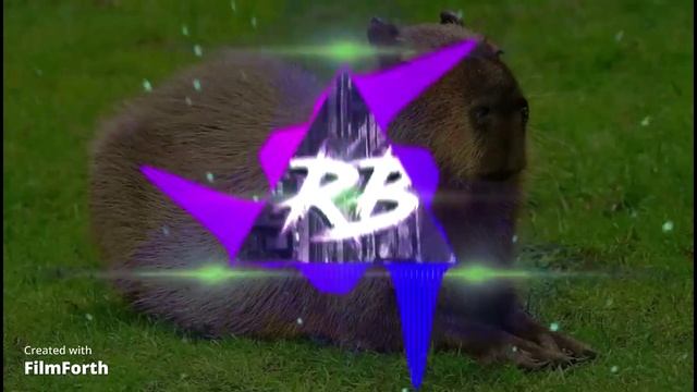 песня (капибара)